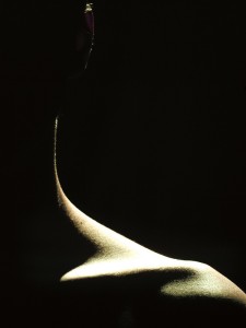 ls_1